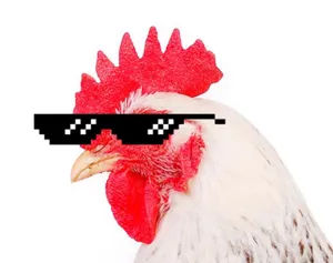 Pollo Watzlawick